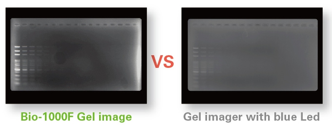 Bio-1000F Fluorescent Scanner