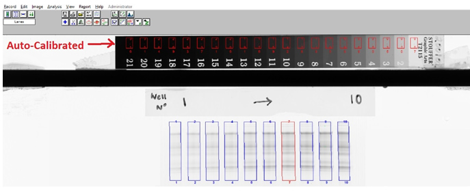 Find Calibration Strip Image