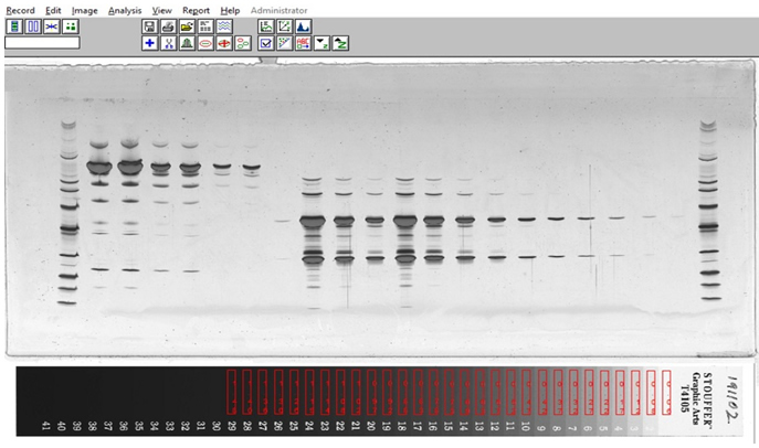 NIST Certified and Calibrated Strip Image