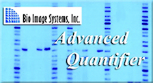 Advanced Quantifier Software
