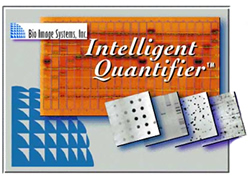 Intelligent Quantifier Software